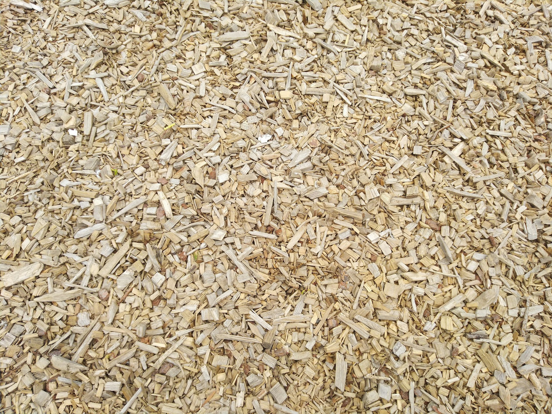 a close up of a pile of wood shavings