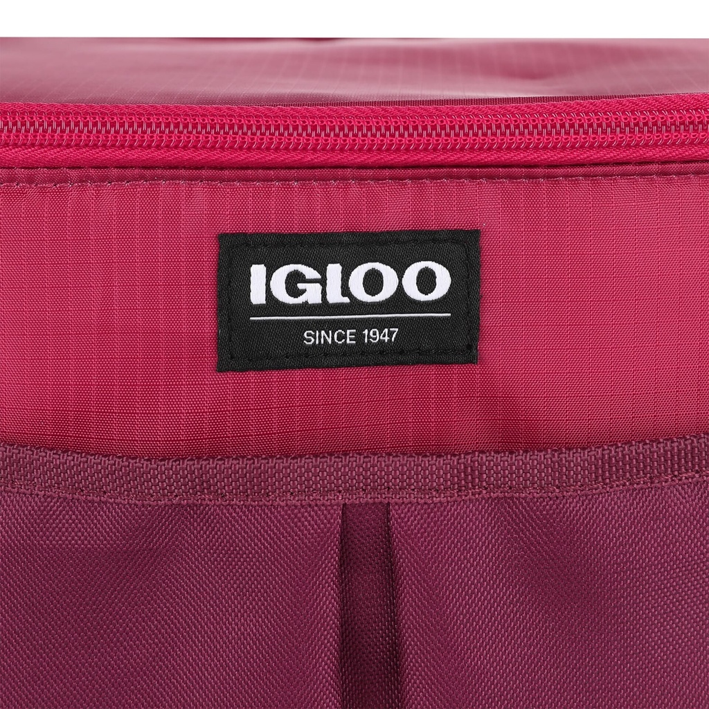 [00066402] IGLOO-Hlc 6 Opp Essentials - Scooter.Zinfandel Image 