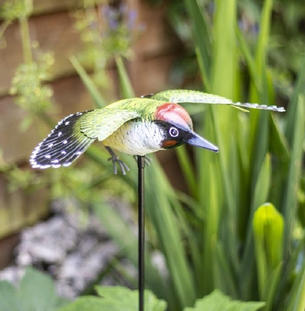 [55872] La Hacienda - Inquisitive Woodpecker on Stake Image 