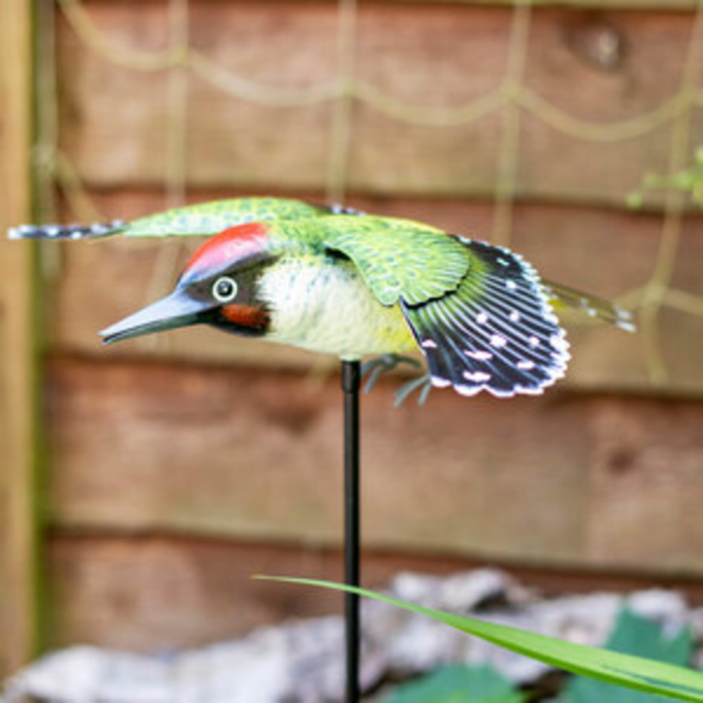 [55872] La Hacienda - Inquisitive Woodpecker on Stake Image 