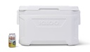 [00050447] IGLOO-Marine Profile II 50 Cooler Box - White  Image 