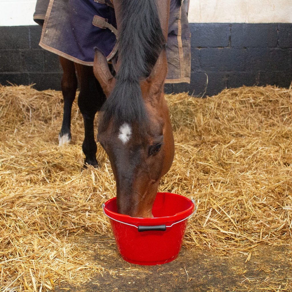 [B4/GP/R] Red Gorilla - Plas - Gorilla Plas 10L Feed Bucket Red Image 