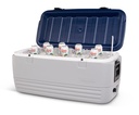 [00049007] IGLOO-Maxcold 120 Qt Cooler Box - Ash Gray  Image 