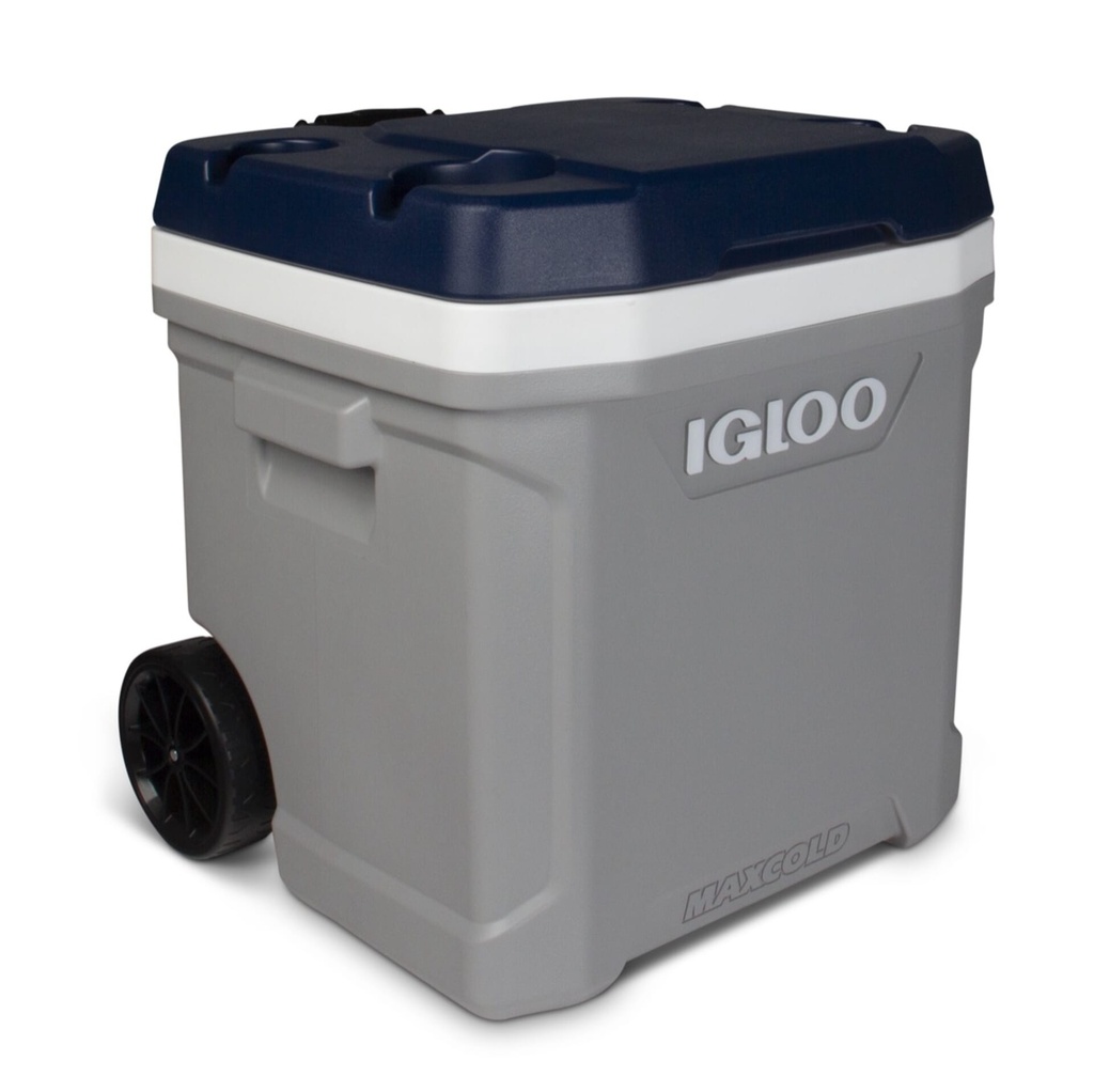 [00034696] IGLOO-Maxcold Latitude 62 Roller - Ash Gray  Image 