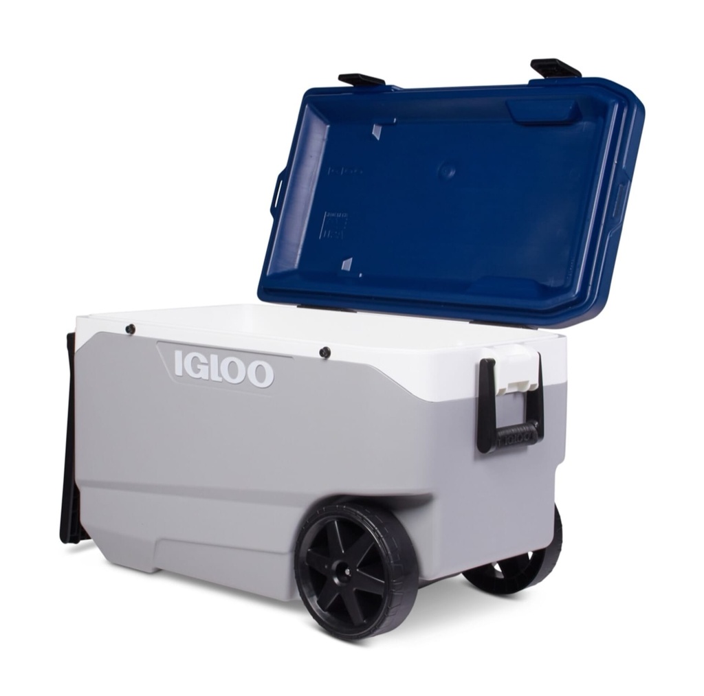 [00034818] IGLOO-Maxcold Latitude 90 Roller - Ash Gray  Image 