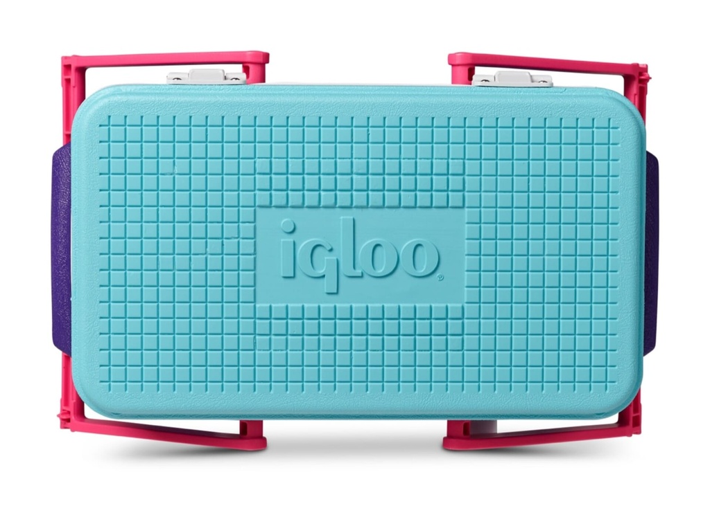 [00032792] IGLOO-Retro Jade 25 Qt Lunch Picnic Basket Cooler - Purple  Image 