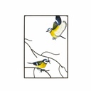 [55874] La Hacienda - Tree Top Blue Tit Wall Art Large Image 