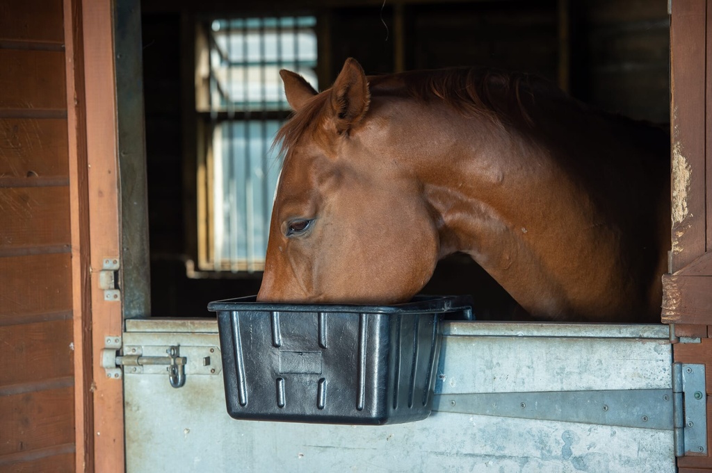 [A1.] Red  Gorilla - Tyre Rubber Manger & Troughs - Hanging Portable Image 