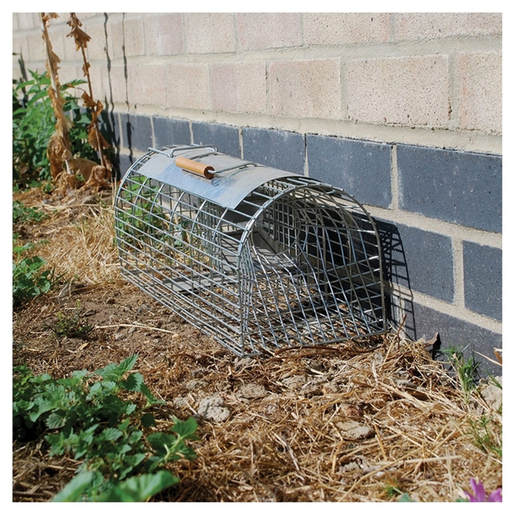 [STV080] STV  Live Multi-Catch Rat Trap Image 