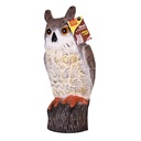 [STV966] STV  Owl Image 