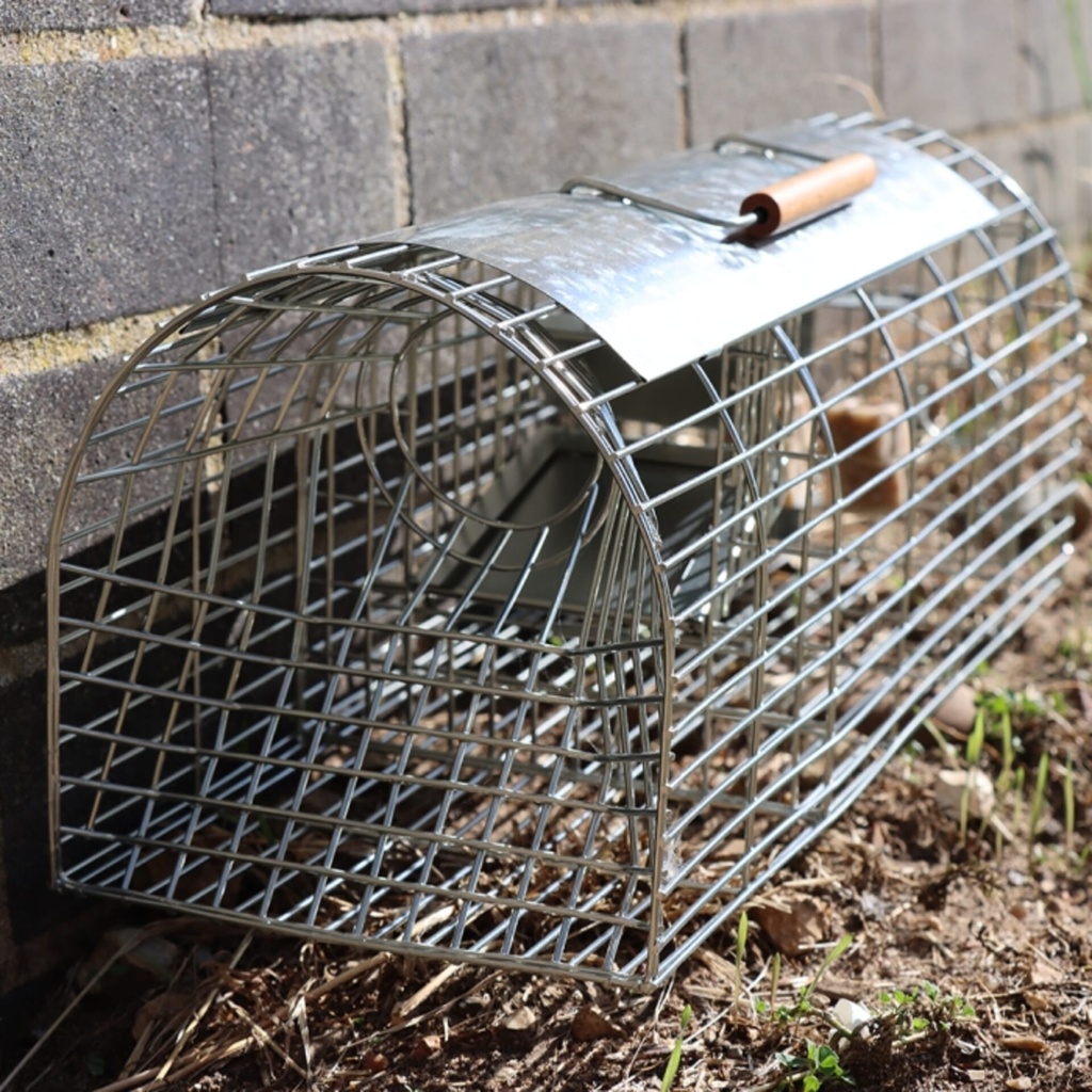 [STV204] STV  Ready-Baited Multi-Catch Rat Cage Trap Image 