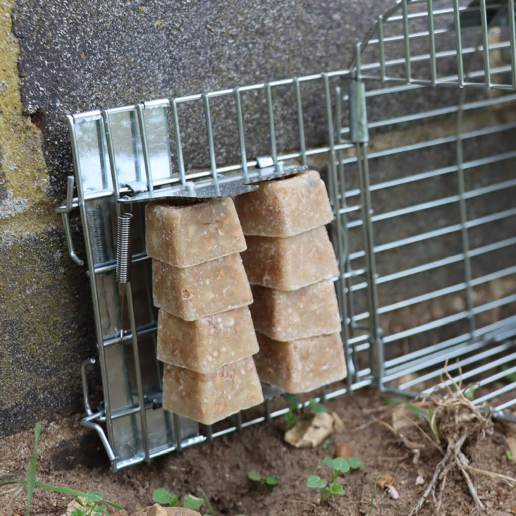 [STV204] STV  Ready-Baited Multi-Catch Rat Cage Trap Image 