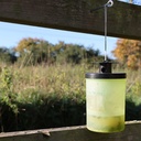 [ZER365] STV  Ready-Baited Wasp Trap Image 