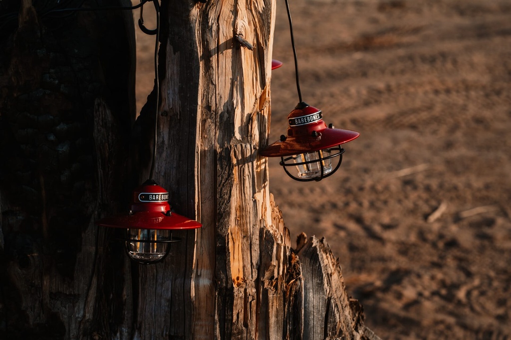 [LIV-267] BareBones - Edison String Lights (Red) Image 