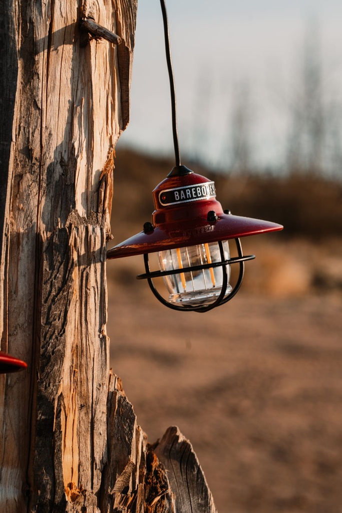 [LIV-267] BareBones - Edison String Lights (Red) Image 