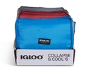 [00066484] Igloo-Collapse & Cool 6 Solid Assortment - Blue/Black  Image 