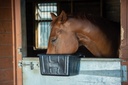 [A1.] Red  Gorilla - Tyre Rubber Manger & Troughs - Hanging Portable Image 