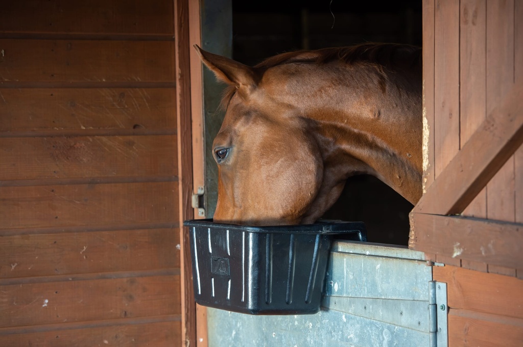 [A1.] Red  Gorilla - Tyre Rubber Manger & Troughs - Hanging Portable Image 