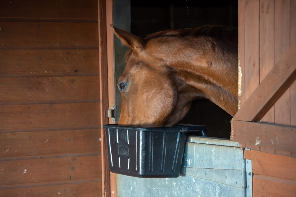 [A1.] Red  Gorilla - Tyre Rubber Manger & Troughs - Hanging Portable Image 