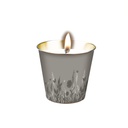 [ZER464] STV  Citronella Mini Candle Bucket - Close to home - Assorted Colours Image 