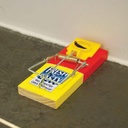 [STV194] STV  Fresh Baited Mouse Trap Image 