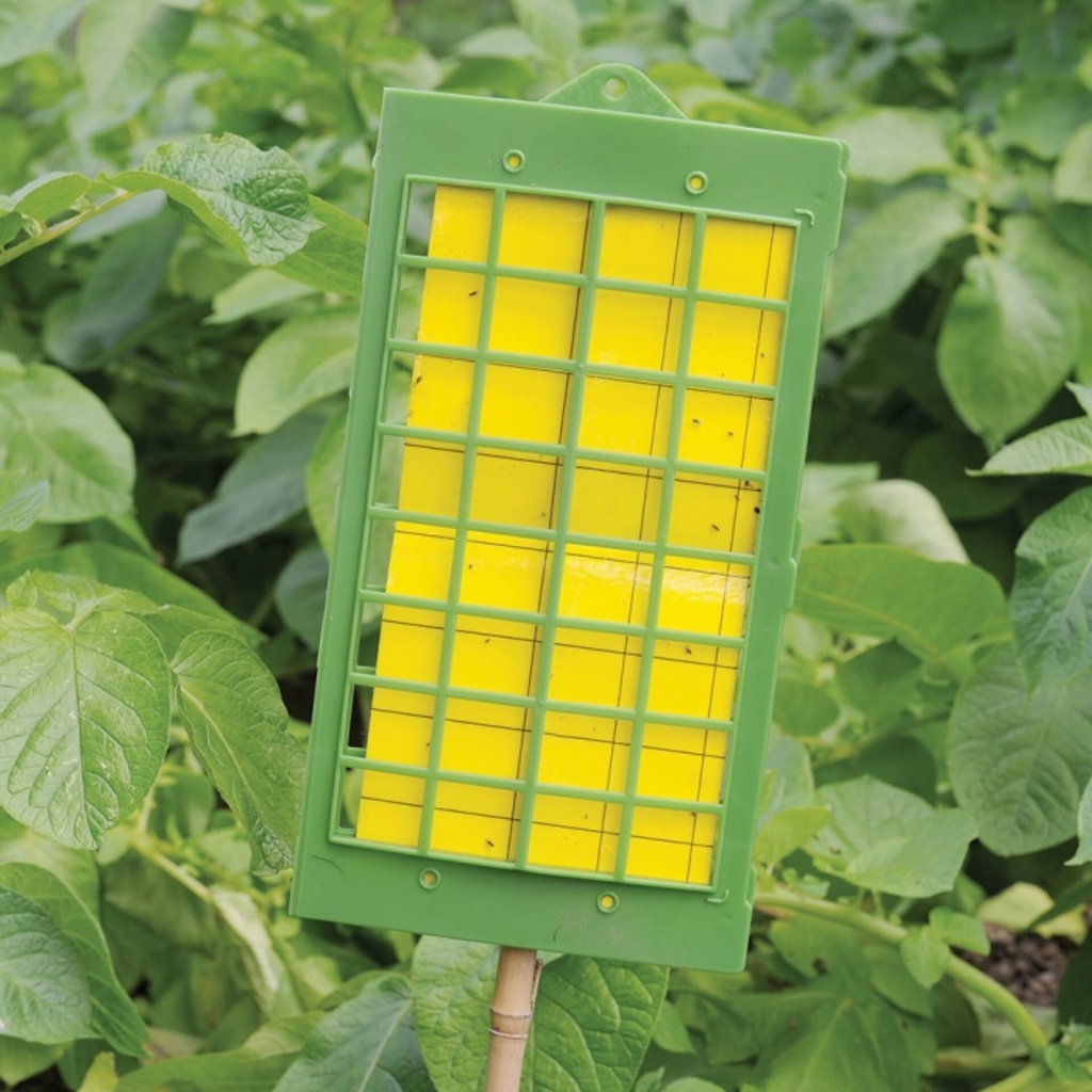 [STV013] STV  Greenhouse & Garden Insect Catcher Kit Image 