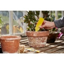 [ZER017] STV  Pot Plant Bug Trap - 5-Pack Image 