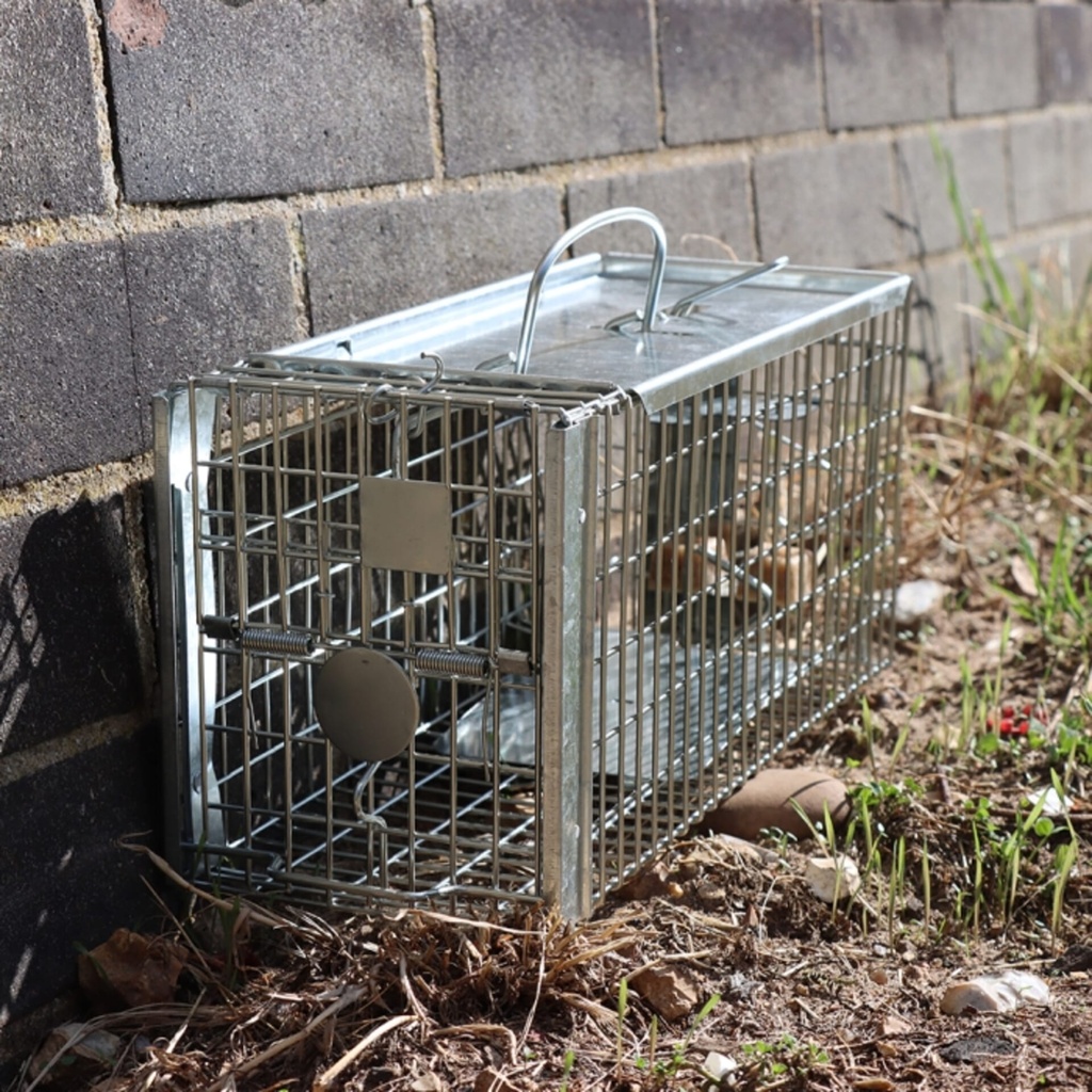 [STV203] STV  Ready-Baited Rat Cage Trap Image 