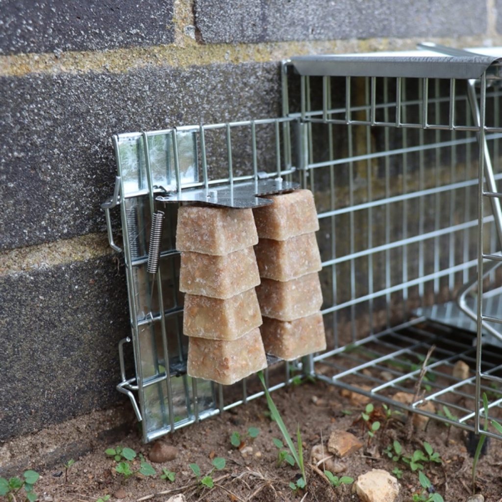 [STV203] STV  Ready-Baited Rat Cage Trap Image 