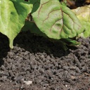 [STV053] STV Slugs Away® Wool Pellets - 5L Image 