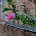 [STV908] STV  Prickle Strip Garden Fence Topper - 45cm Image 