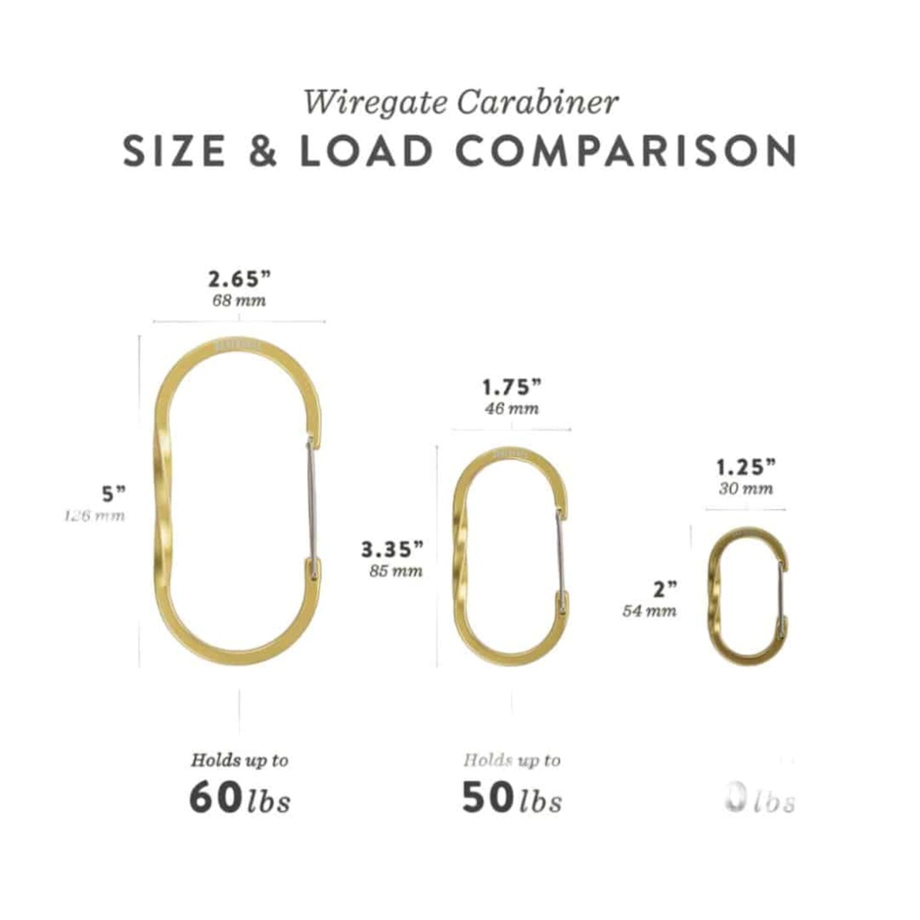 [STC-628] BareBones - Wiregate Carabiner Medium 2pc - Gold Image 