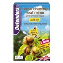 STV  Horse Chestnut Leaf Miner Trap Refill - Twinpack