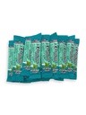 Klean Freak - The Flusher wipes - 100 Pack Spearmint Rush