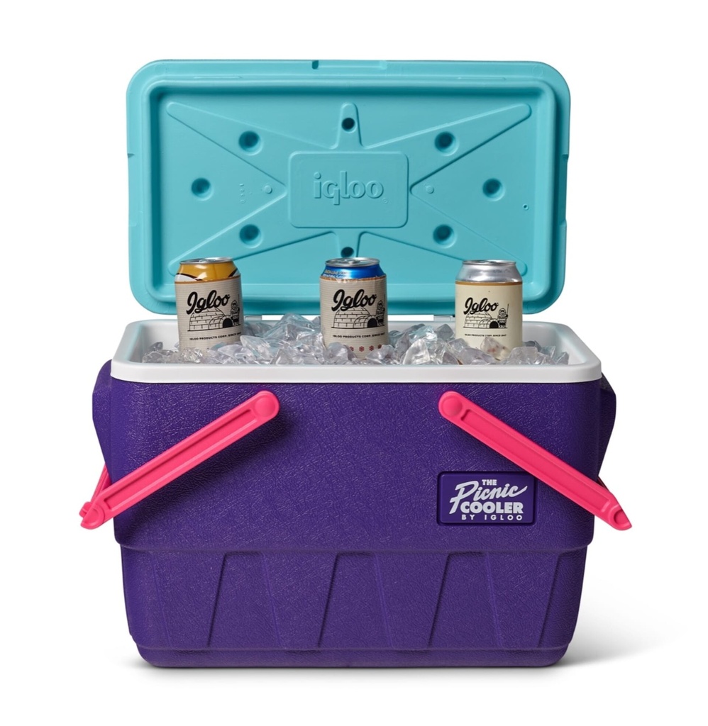 IGLOO-Retro Jade 25 Qt Lunch Picnic Basket Cooler - Purple 