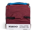 IGLOO-Collapse & Cool 24 Solid Assortment - Blue/Black 