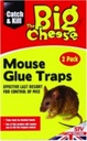 STV  Mouse Glue Traps - 2 Pack