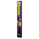 STV Citronella Garden Flares - Beach Party - 3-Pack