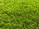 Artificial Grass 30mm Green